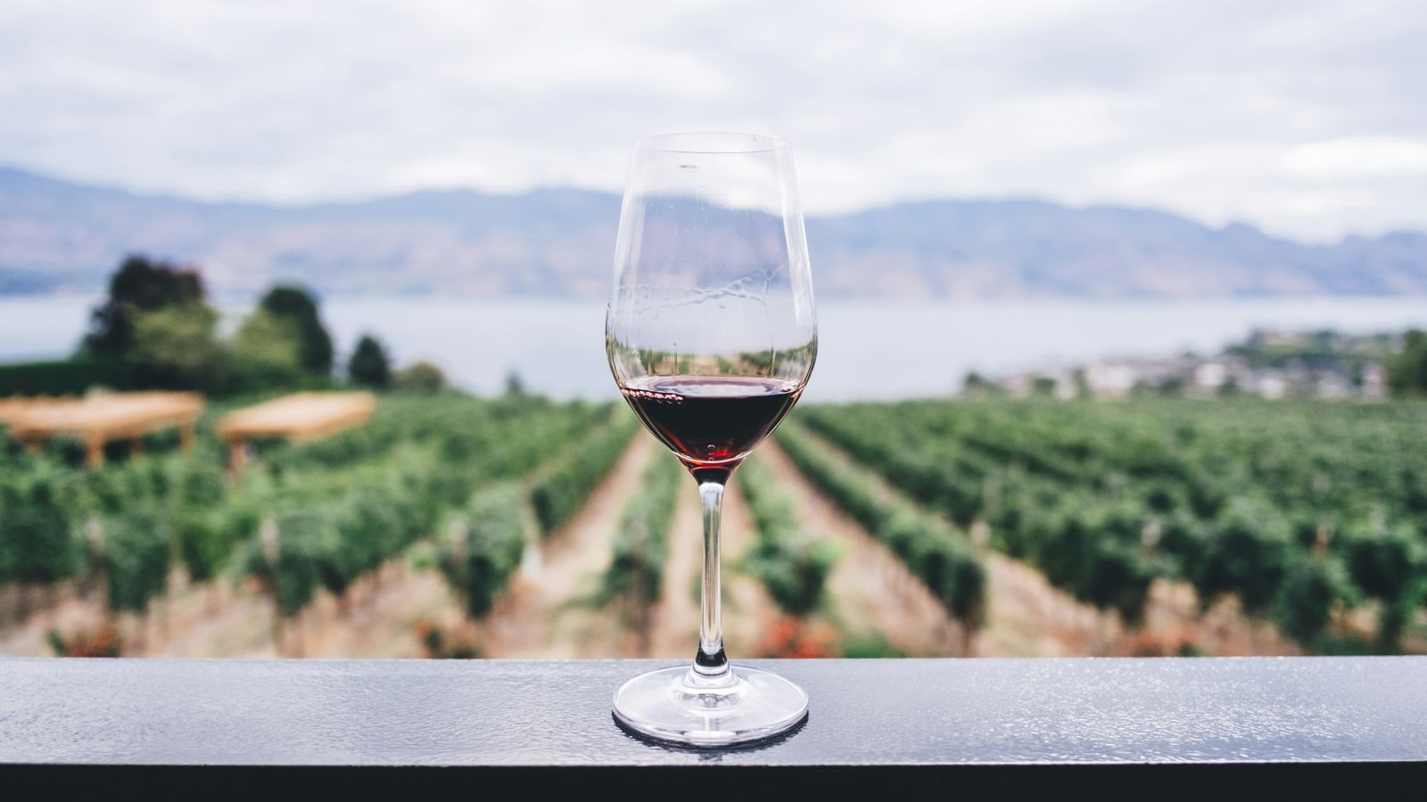 Avennia Estate Tasting Room